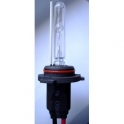Xenon bulb 9006 Vertex